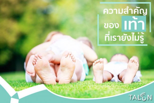 talon รองเท้าสุขภาพ ความรู้เรื่องเท้า ความสำคัญของเท้า ที่เรายังไม่รู้ talon รองเท้าสุขภาพ ความสำคัญของเท้าที่เรายังไม่รู้